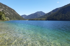 IMG-20190916-WA0006