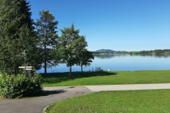 IMG-20190916-WA0008