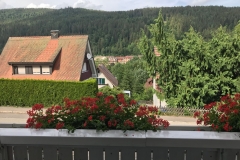 IMG-20180621-WA0032