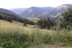 IMG-20180623-WA0034
